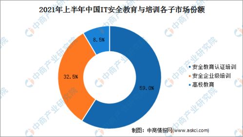 2021年上半年中國(guó)網(wǎng)絡(luò)安全服務(wù)廠商收入規(guī)模高漲110%，網(wǎng)絡(luò)與信息安全軟件開(kāi)發(fā)引領(lǐng)增長(zhǎng)